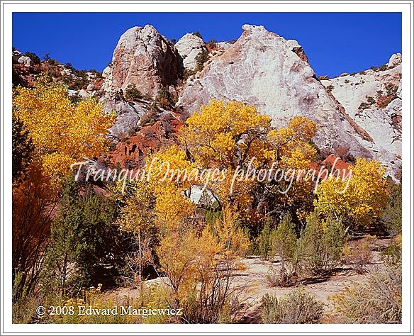 450566   Autumn Colors in the Grand Staircase, Utah